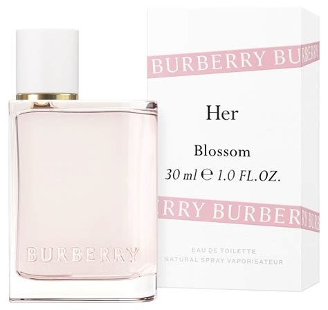 burberry her eau de parfum duftbeschreibung|where to buy Burberry perfume.